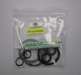 PN2 CYLS 63010RK Seal Kit for Spear Cylinder - Nason